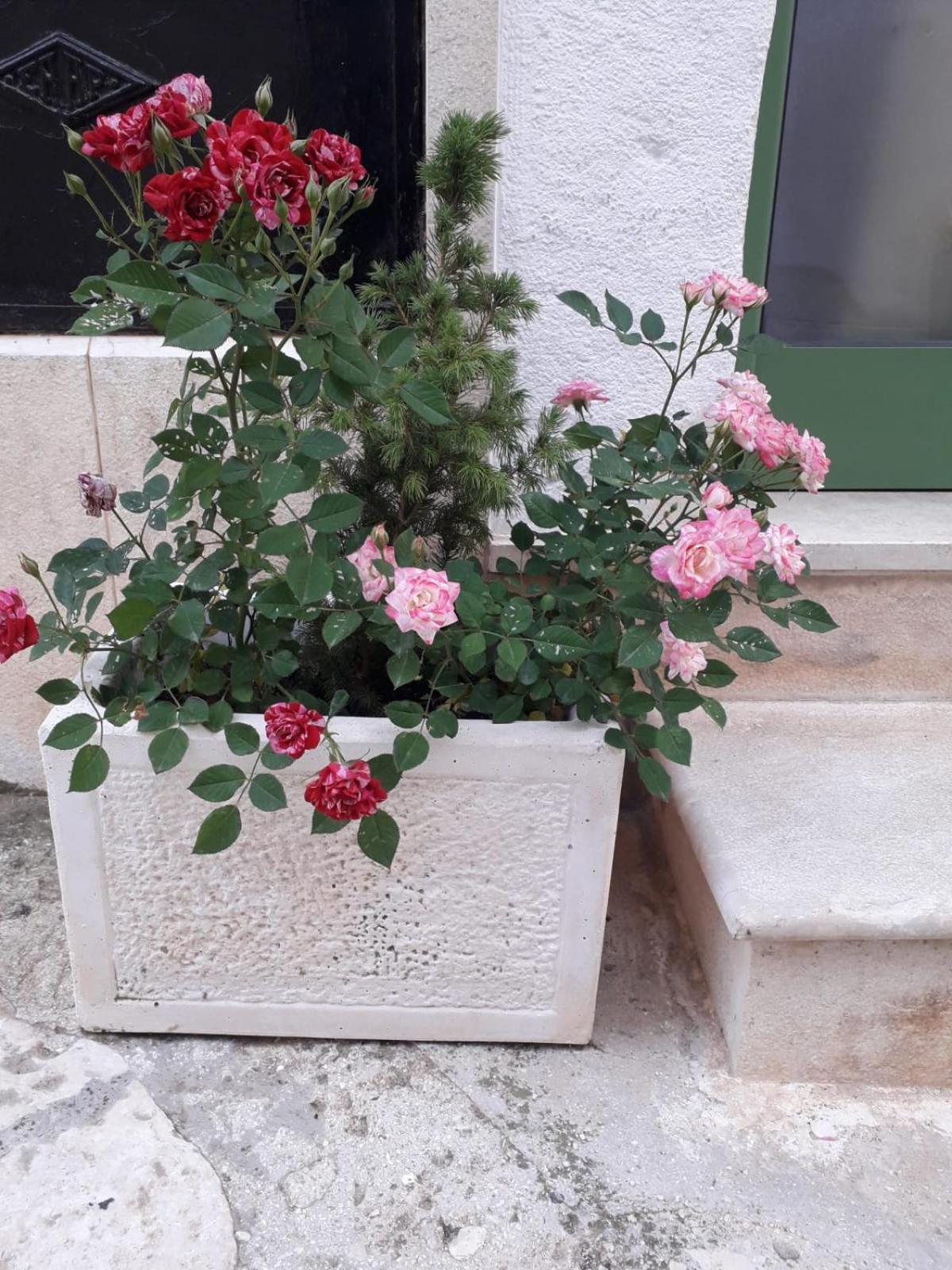 Le Chianche Villa Ceglie Messapica Exteriör bild